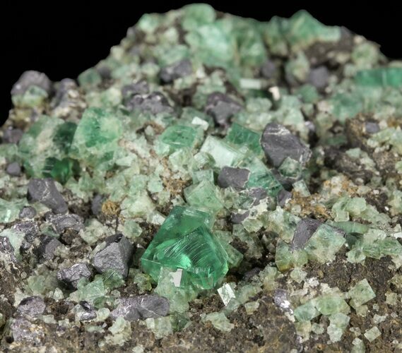 Fluorite & Galena Cluster - Rogerley Mine #60367